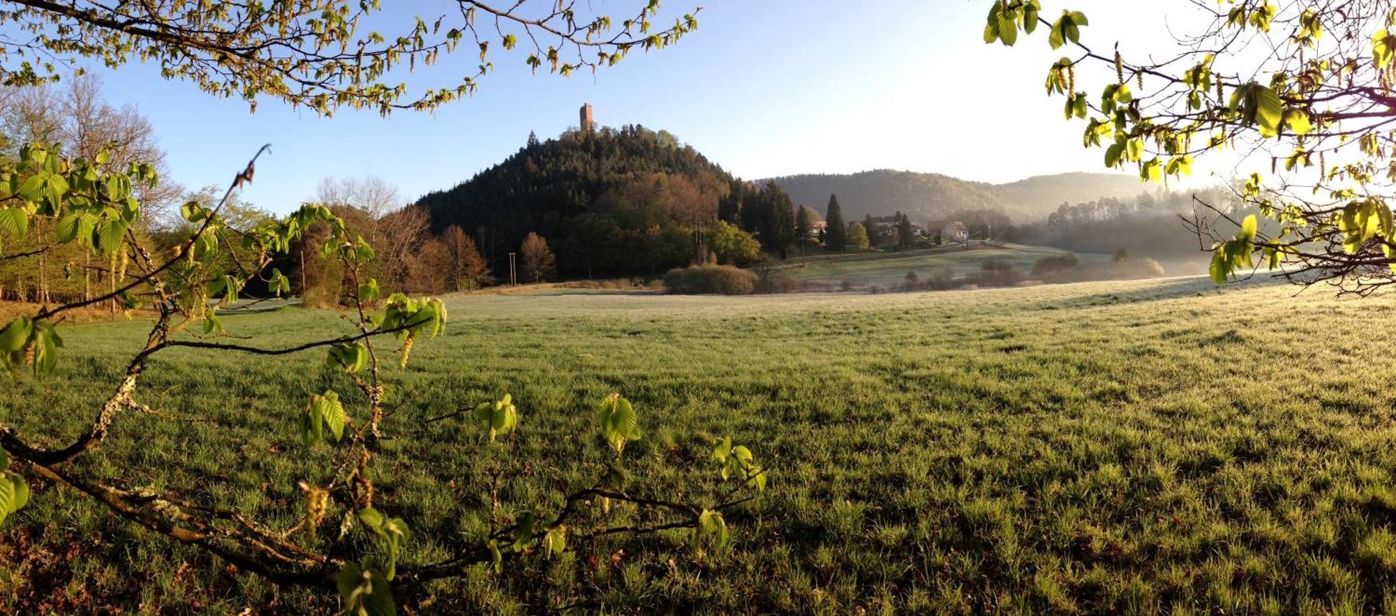 Le Gite De L'Ecureuil Sturzelbronn エクステリア 写真