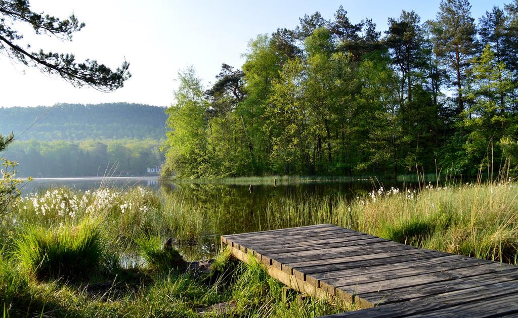 Le Gite De L'Ecureuil Sturzelbronn エクステリア 写真