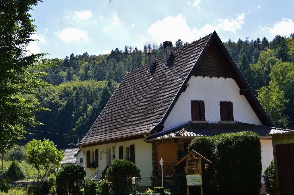 Le Gite De L'Ecureuil Sturzelbronn エクステリア 写真