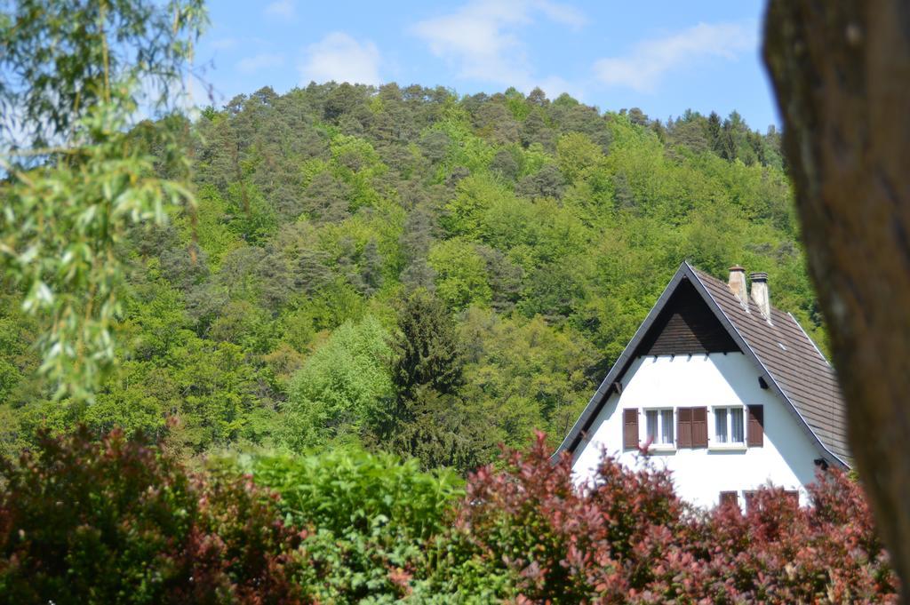 Le Gite De L'Ecureuil Sturzelbronn エクステリア 写真