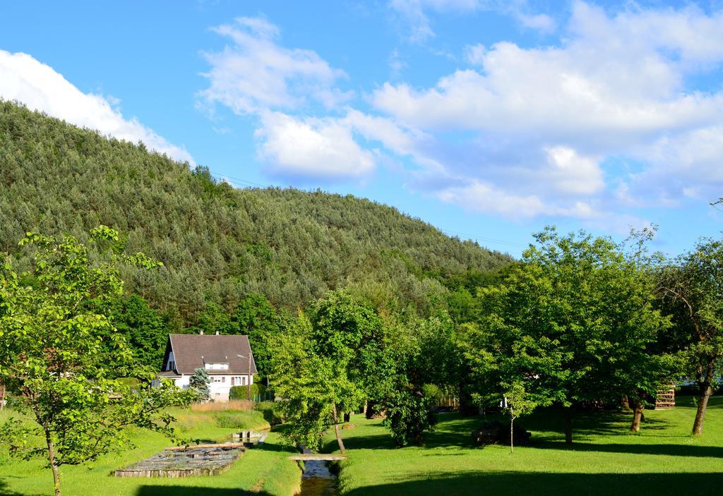Le Gite De L'Ecureuil Sturzelbronn エクステリア 写真