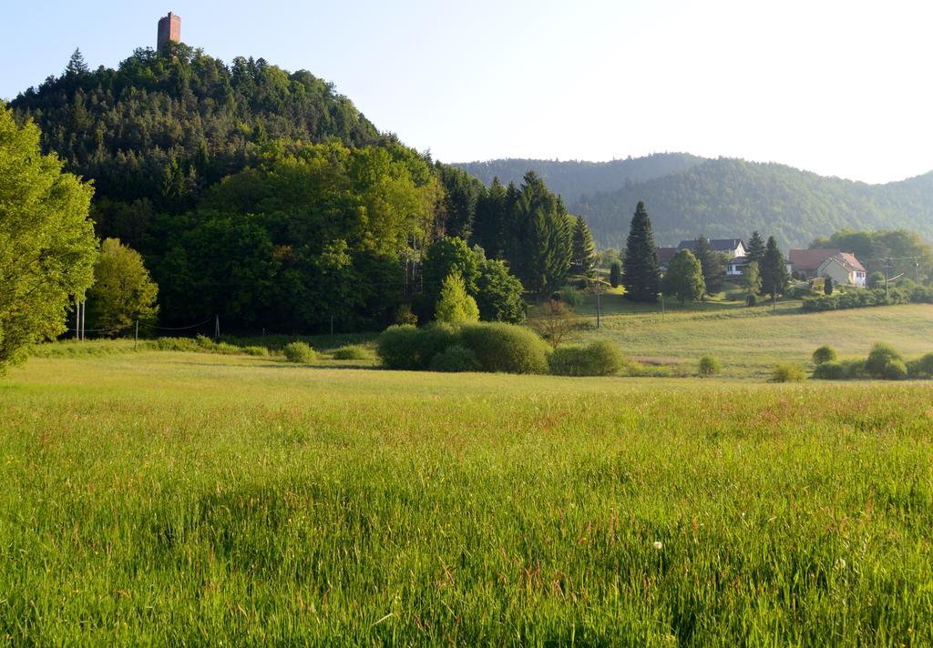 Le Gite De L'Ecureuil Sturzelbronn エクステリア 写真