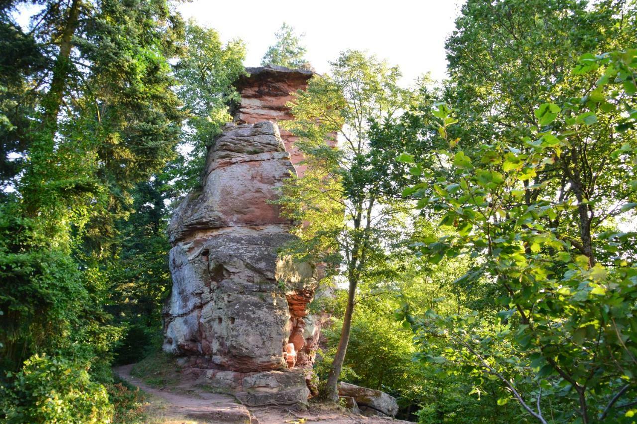 Le Gite De L'Ecureuil Sturzelbronn エクステリア 写真